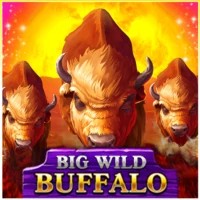 game logo by Belatra Games on betbuffooncasino.eu